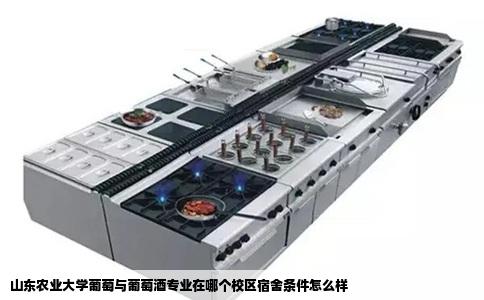 山东农业大学葡萄与葡萄酒专业在哪个校区宿舍条件怎么样