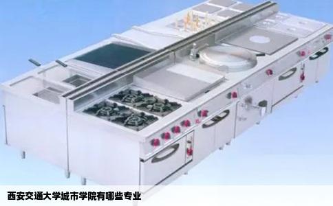 西安交通大学城市学院有哪些专业