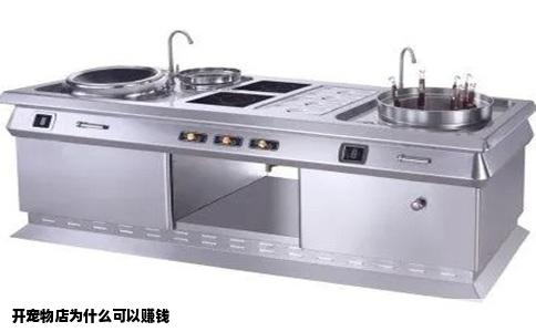 开宠物店为什么可以赚钱