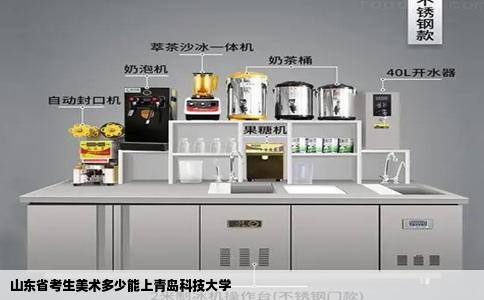 山东省考生美术多少能上青岛科技大学
