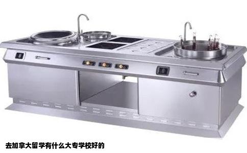 去加拿大留学有什么大专学校好的