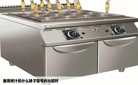 商用榨汁机什么牌子型号的比较好
