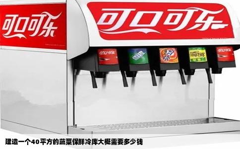 建造一个40平方的蔬菜保鲜冷库大概需要多少钱