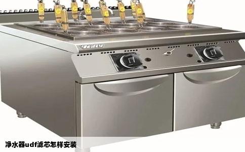 净水器udf滤芯怎样安装