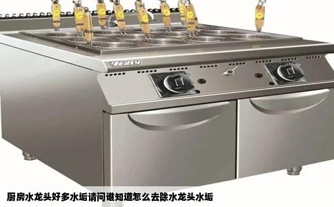 厨房水龙头好多水垢请问谁知道怎么去除水龙头水垢