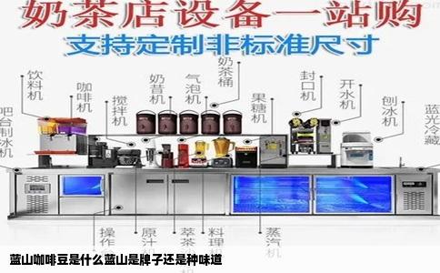 蓝山咖啡豆是什么蓝山是牌子还是种味道