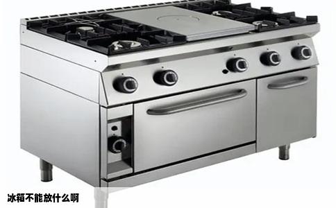 冰箱不能放什么啊