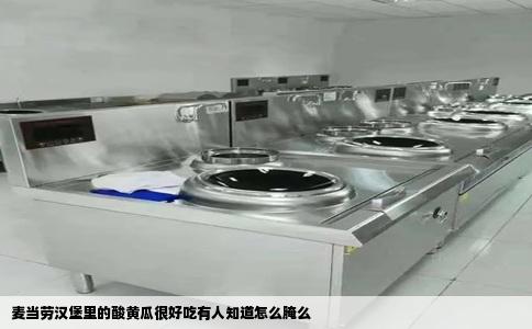 麦当劳汉堡里的酸黄瓜很好吃有人知道怎么腌么