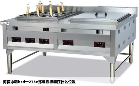 海信冰箱bcd一215e环境温控器在什么位置