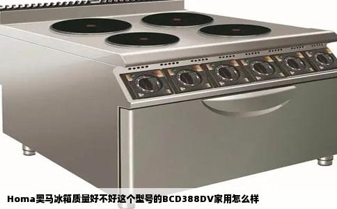 Homa奥马冰箱质量好不好这个型号的BCD388DV家用怎么样