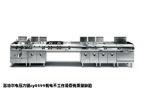 苏泊尔电压力锅cy0599有电不工作是否有质量缺陷