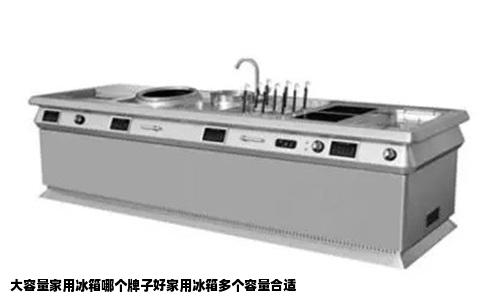 大容量家用冰箱哪个牌子好家用冰箱多个容量合适
