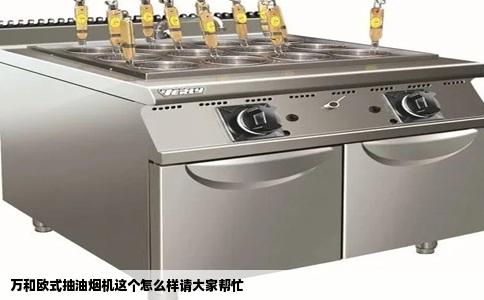 万和欧式抽油烟机这个怎么样请大家帮忙