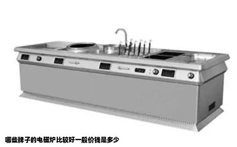 哪些牌子的电磁炉比较好一般价钱是多少