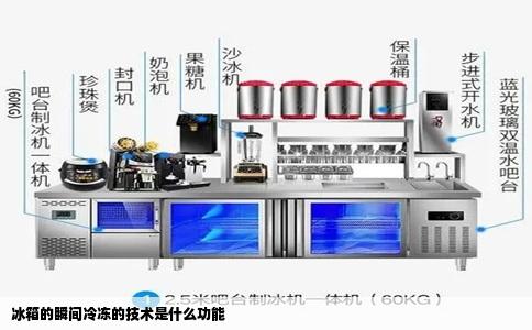 冰箱的瞬间冷冻的技术是什么功能