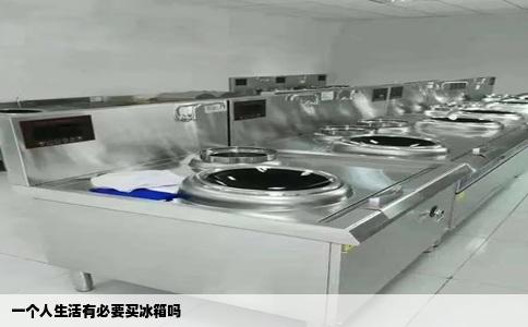 一个人生活有必要买冰箱吗