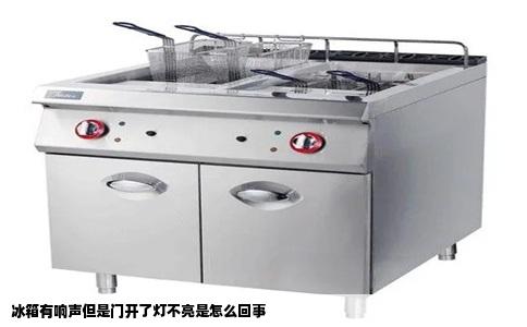 冰箱有响声但是门开了灯不亮是怎么回事