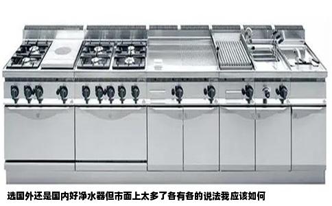 选国外还是国内好净水器但市面上太多了各有各的说法我应该如何