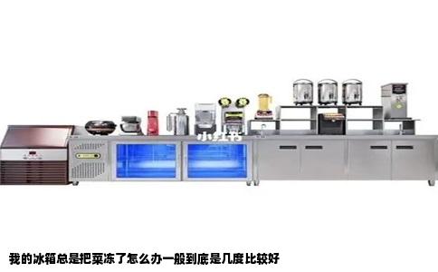 我的冰箱总是把菜冻了怎么办一般到底是几度比较好