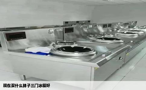 现在买什么牌子三门冰箱好