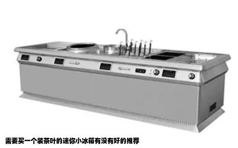 需要买一个装茶叶的迷你小冰箱有没有好的推荐