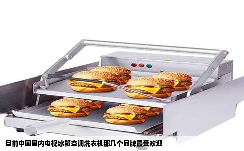 目前中国国内电视冰箱空调洗衣机那几个品牌最受欢迎