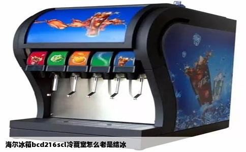 海尔冰箱bcd216scl冷藏室怎么老是结冰
