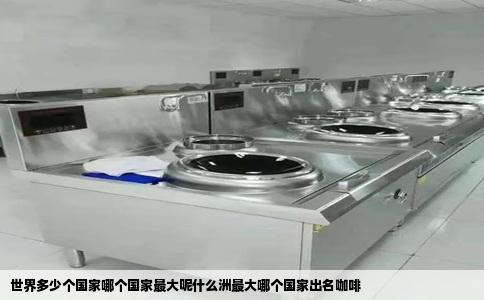 世界多少个国家哪个国家最大呢什么洲最大哪个国家出名咖啡
