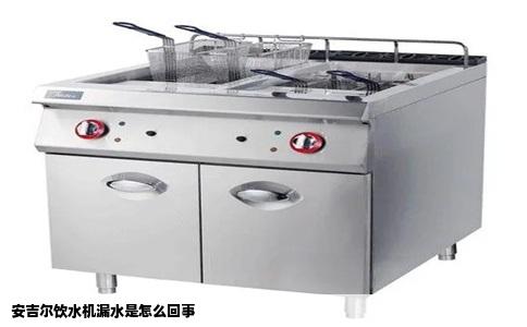 安吉尔饮水机漏水是怎么回事