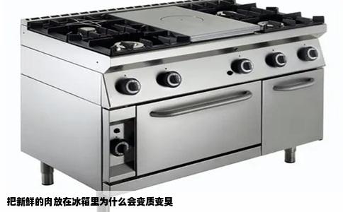 把新鲜的肉放在冰箱里为什么会变质变臭