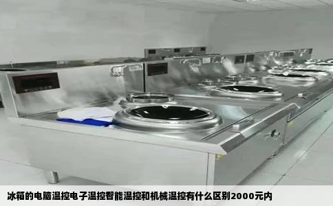 冰箱的电脑温控电子温控智能温控和机械温控有什么区别2000元内