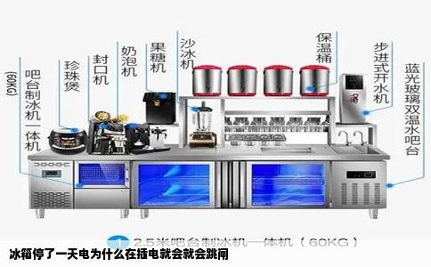 冰箱停了一天电为什么在插电就会就会跳闸