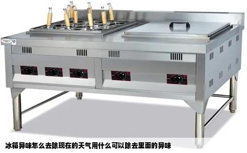 冰箱异味怎么去除现在的天气用什么可以除去里面的异味