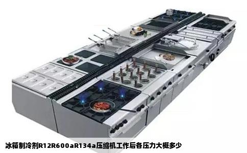 冰箱制冷剂R12R600aR134a压缩机工作后各压力大概多少