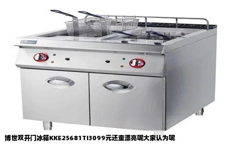 博世双开门冰箱KKE25681TI3099元还蛮漂亮呢大家认为呢