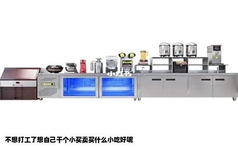 不想打工了想自己干个小买卖买什么小吃好呢