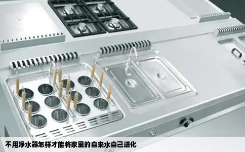 不用净水器怎样才能将家里的自来水自己进化