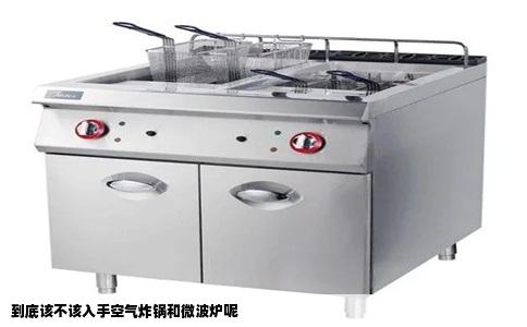 到底该不该入手空气炸锅和微波炉呢