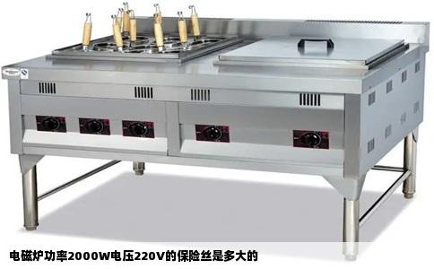 电磁炉功率2000W电压220V的保险丝是多大的