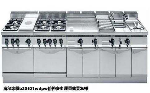 海尔冰箱b20521wdpw价格多少质量效果怎样