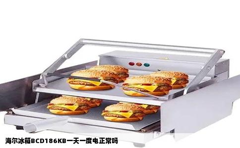 海尔冰箱BCD186KB一天一度电正常吗