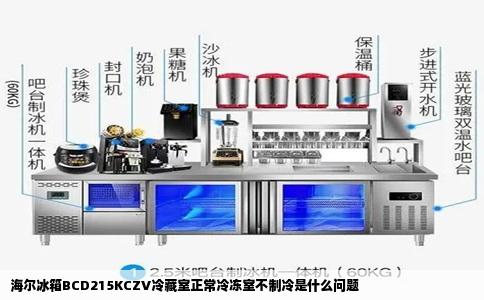 海尔冰箱BCD215KCZV冷藏室正常冷冻室不制冷是什么问题