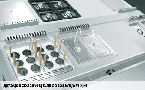 海尔冰箱BCD228WBJZ和BCD228WBJV的区别