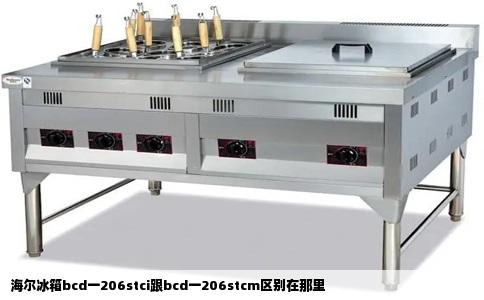 海尔冰箱bcd一206stci跟bcd一206stcm区别在那里