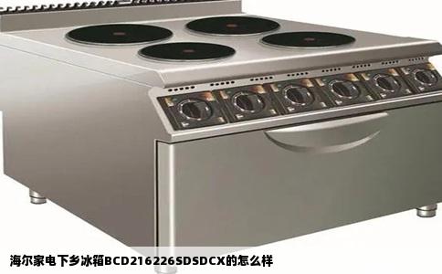 海尔家电下乡冰箱BCD216226SDSDCX的怎么样