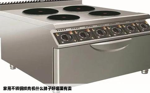 家用不锈钢绞肉机什么牌子好哪里有卖