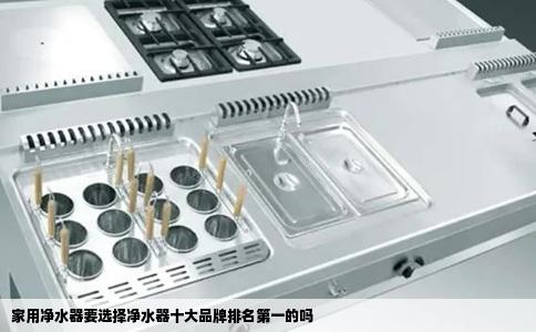 家用净水器要选择净水器十大品牌排名第一的吗