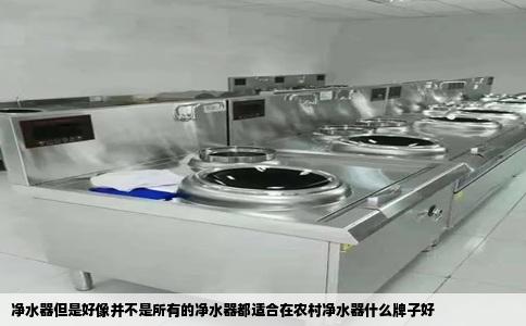 净水器但是好像并不是所有的净水器都适合在农村净水器什么牌子好