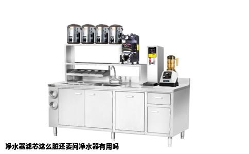 净水器滤芯这么脏还要问净水器有用吗