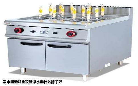 净水器选购全攻略净水器什么牌子好